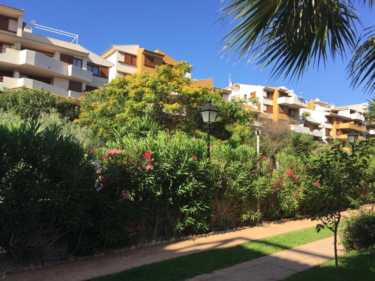 Apartament Torrevieja 200M From Sea Punta Prima Alicante Zewnętrze zdjęcie