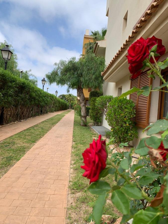 Apartament Torrevieja 200M From Sea Punta Prima Alicante Zewnętrze zdjęcie